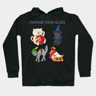 Choose Your Cat Class Hoodie